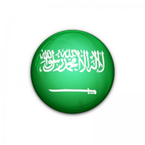 Saudi testing and certification project introdu...